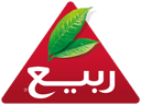ربيع
